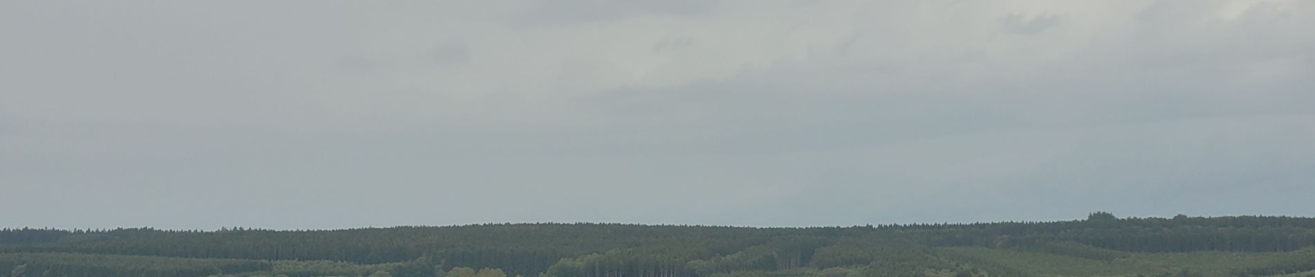 Tocht Stappen Sainte-Ode - rando beauplateau 24-08-2023 - Photo