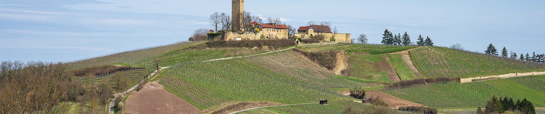 Randonnée A pied Sulzfeld - Ravensburg-Tour - Photo