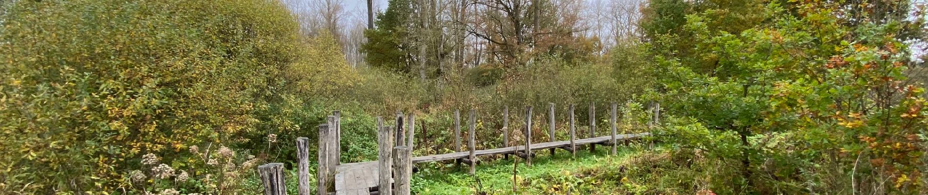 Tocht Stappen Geraardsbergen - Gavers Nuchten 16 km - Photo