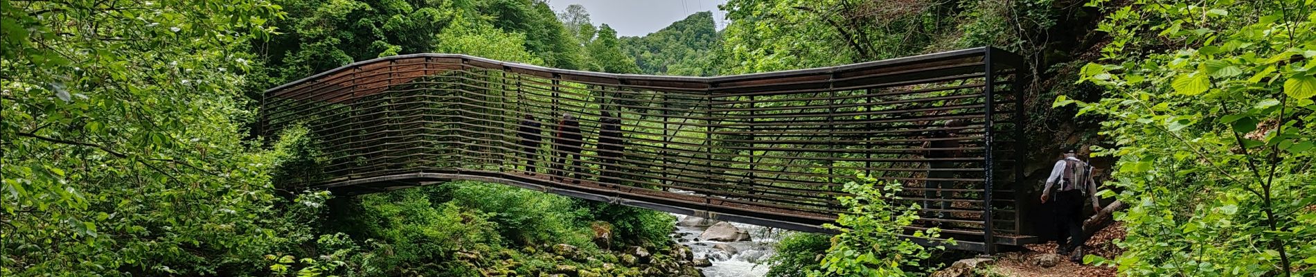 Trail Walking Boudry - 12-Gorges de l'Areuse - Photo