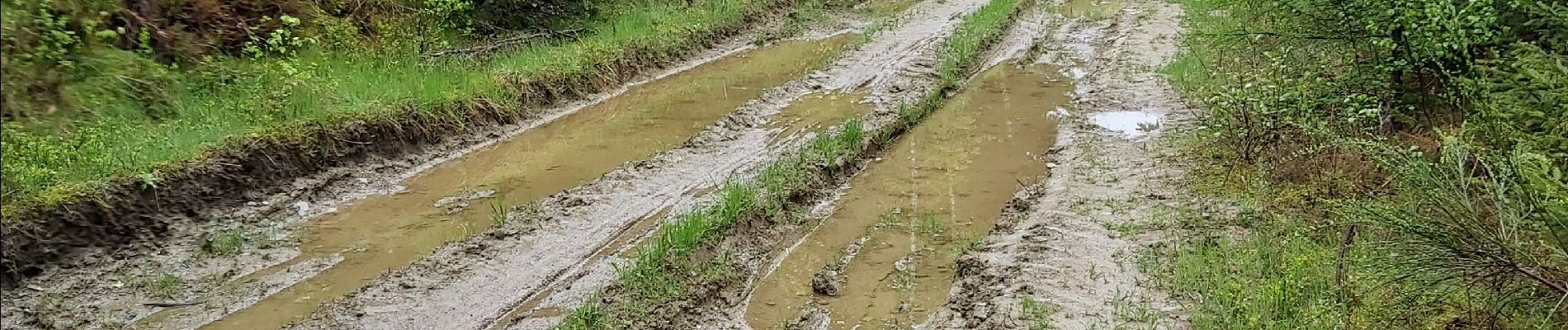 Tocht Stappen Habay - Rulles et environ marbehan - Photo