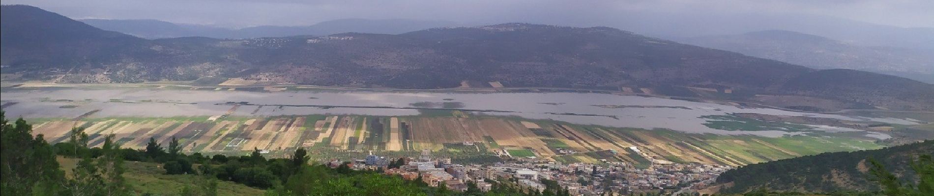 Excursión A pie מועצה אזורית גליל תחתון - דרך נוף יער טורען - Photo