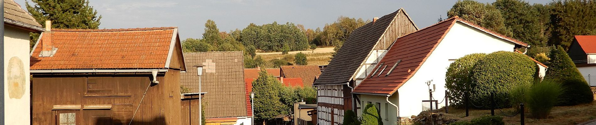 Tour Zu Fuß Südharz - Wanderweg 