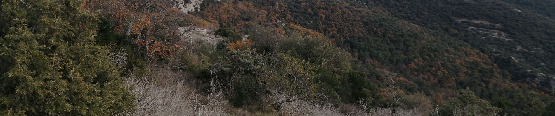 Excursión Senderismo Sablet - le saint amand et prebayon - Photo