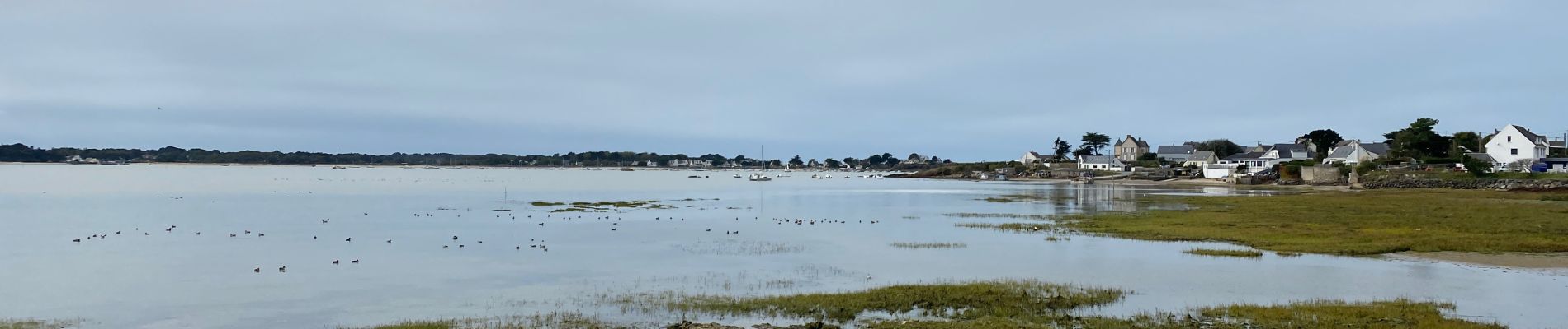 Tocht Stappen Assérac - Le traict de Pen-Bé - Photo