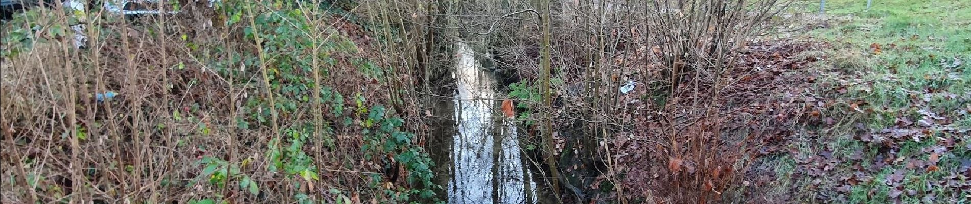 Tocht Te voet Bendestorf - Jesteburg Wanderweg 18 - Photo