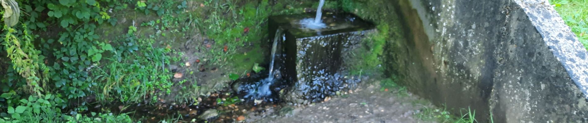 Randonnée Marche Echternach - echternacht  tour du lac villa romaine  - Photo