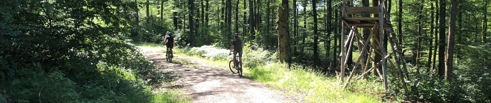 Tocht Mountainbike Chantraine - Cool - Photo