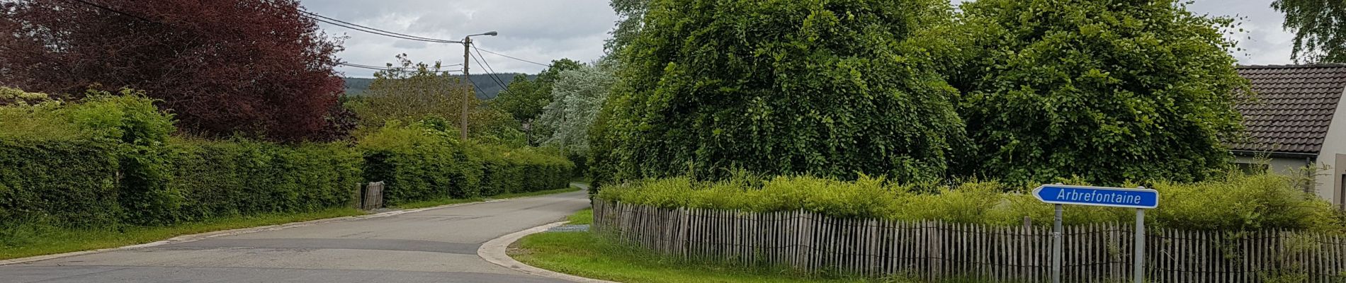 Randonnée Cyclotourisme Lierneux - Arbrefontaine - Photo