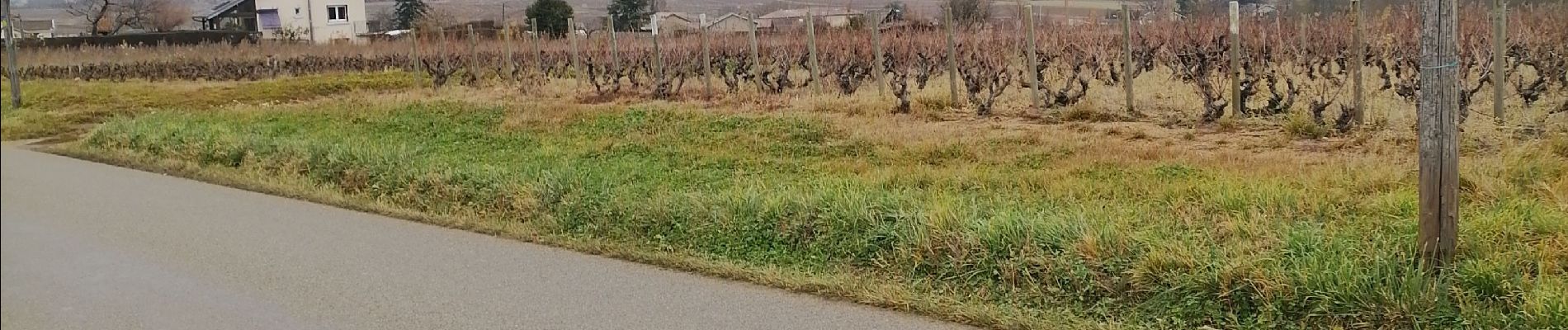 Tocht Stappen La Chapelle-de-Guinchay - romanech  - Photo