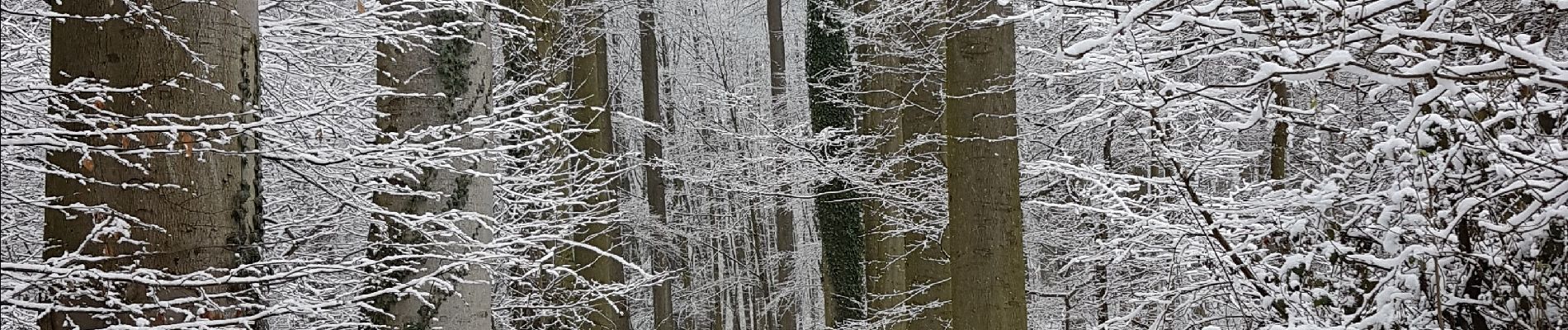 Tour Wandern Beauvechain - petit tour  - Photo