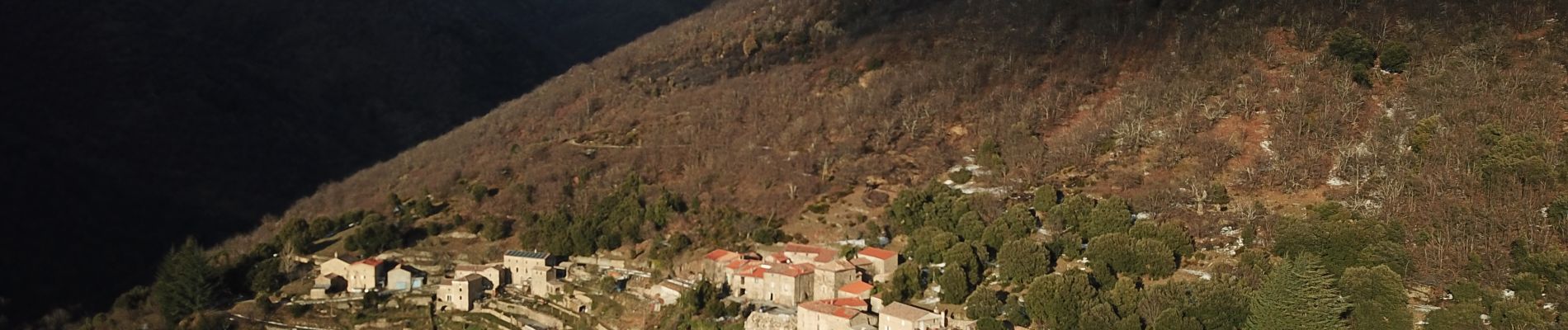 Tocht Te voet Val-d'Aigoual - Favières /4 jasses /Puech Sigal /Favières - Photo