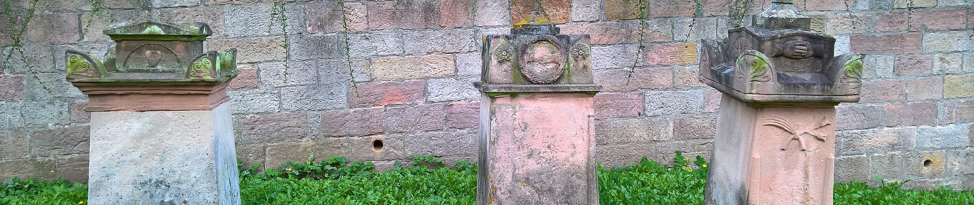 Percorso A piedi Schaafheim - Rundwanderweg Schaafheim 1 : Spitzberg-Weg - Photo