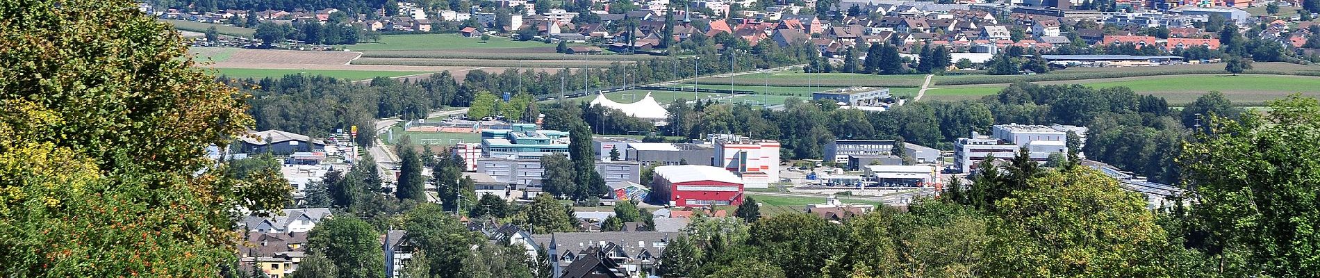 Tocht Te voet Regensberg - Regensberg - Lägernweid - Photo