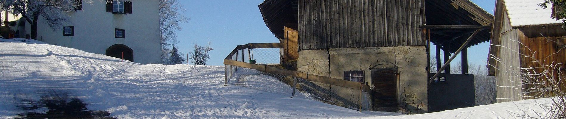 Percorso A piedi Stettfurt - Schloss Sonnenberg - Lommis - Thürn - Photo