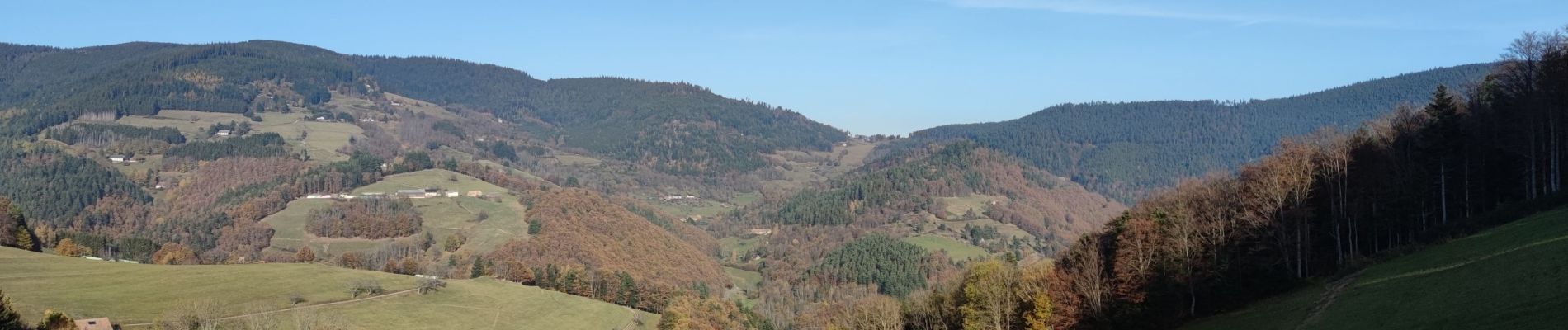 Excursión Bici de montaña Fréland - Place Arthur - Photo