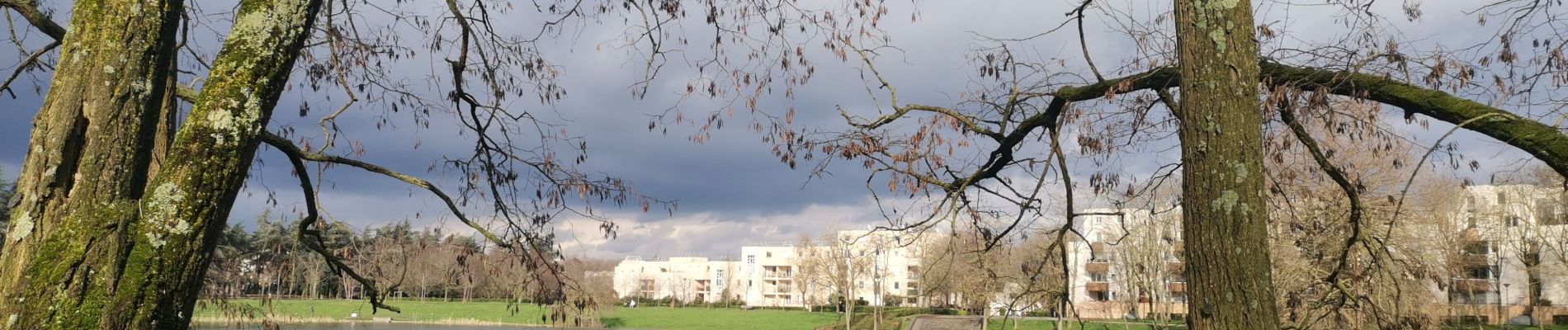 Tour Wandern Lognes - CLA77-27 Etangs des Ibis et de Maubuée - Photo