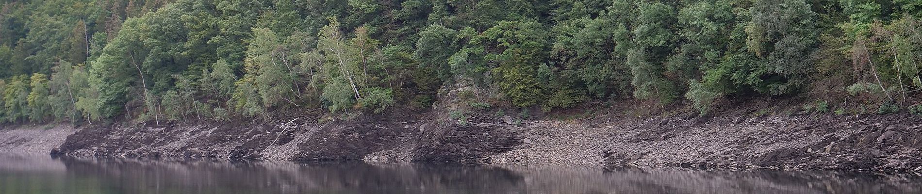 Tocht Te voet Heimbach - Wanderweg T2 ( Heimbach) - Photo