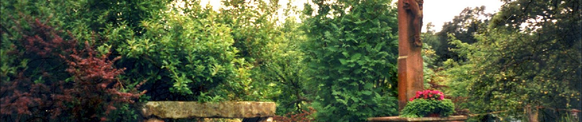 Tour Zu Fuß Erlenbach am Main - Blauer Laubbaum Rundwanderweg Mechenhard - Photo