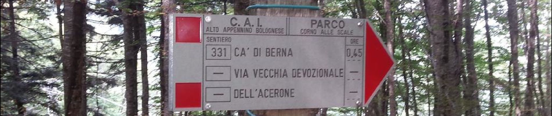 Trail On foot Lizzano in Belvedere - Via dei signori - Photo