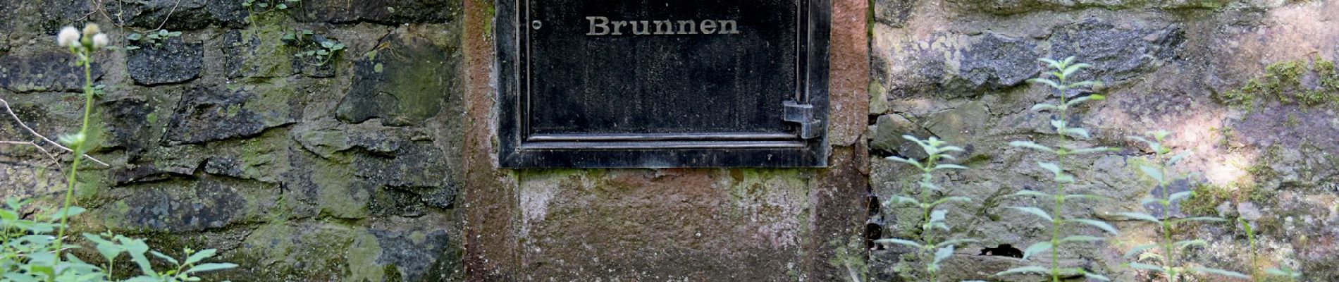 Tour Zu Fuß Unbekannt - Rundwanderweg Darmstadt Steinbrücker Teich 1: Kahler Berg-Weg - Photo