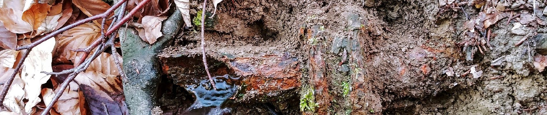 Tour Zu Fuß Waldems - Rundweg Idstein Lauskippel - Nollen - Photo