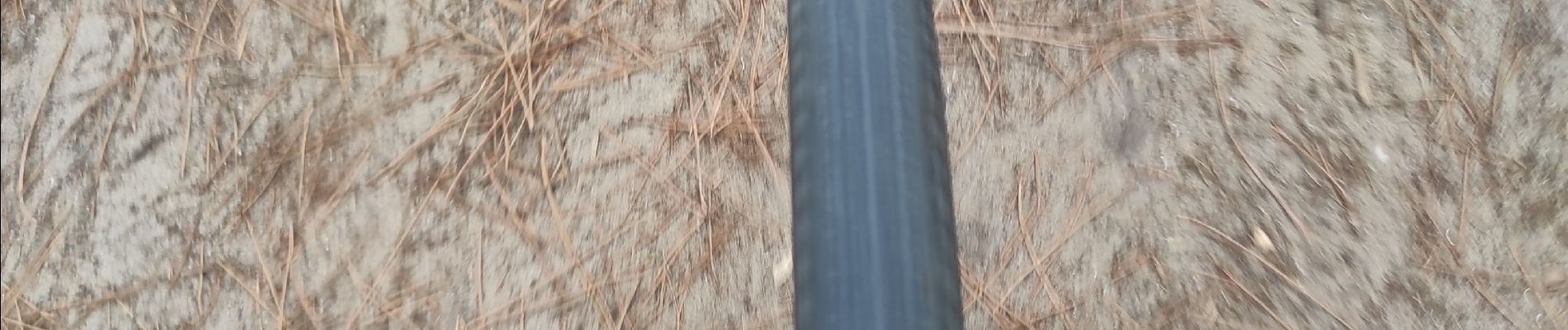 Excursión Bicicleta híbrida Noirmoutier-en-l'Île - Petite balade sur l'île de Noirmoutier - Photo