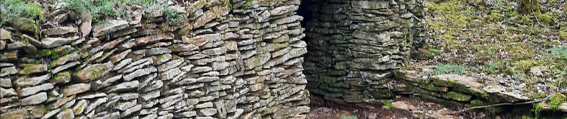 Tour Wandern Monnières - monnieres - Photo