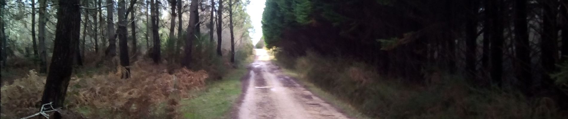 Percorso Marcia Molières - Molières 18km - Photo