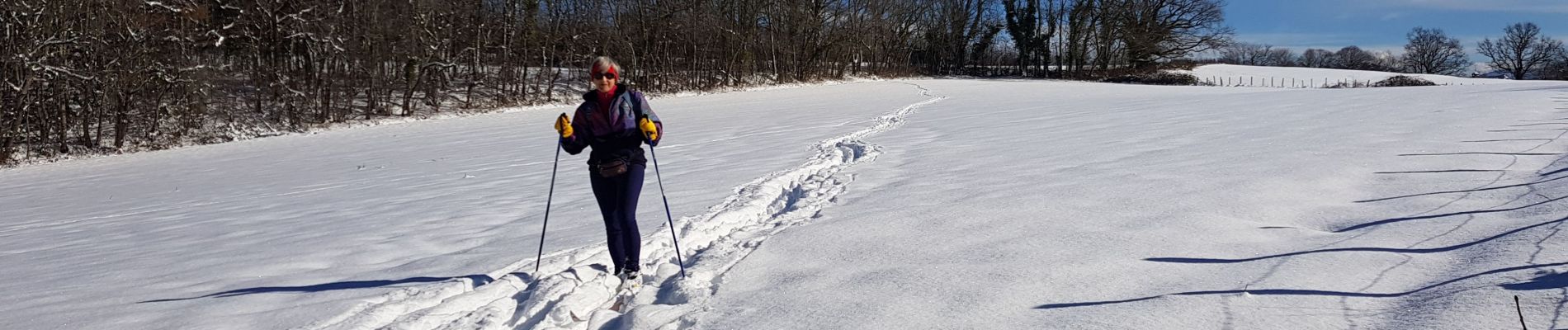Trail Cross-country skiing Gex - mont mourex - Photo