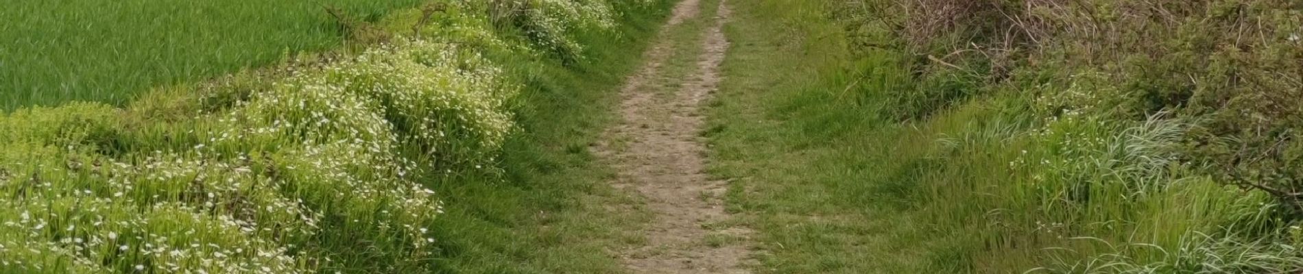 Percorso Marcia Houyet - Randonnée à Houyet 🌼 - Photo