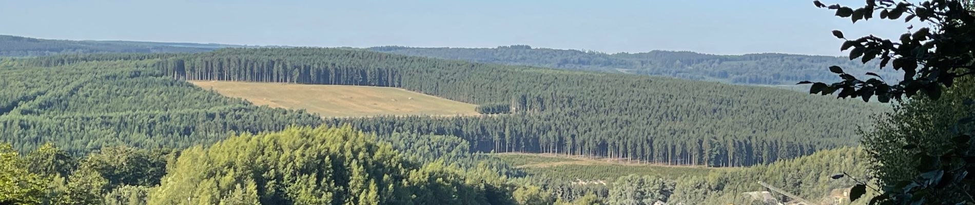 Tocht Stappen Libramont-Chevigny - Banalbois - Photo