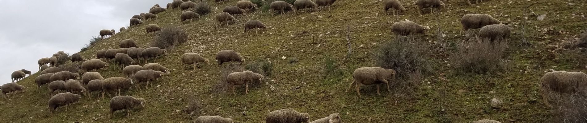 Tour Wandern Lambesc - Canal-Sufferchoix - Photo