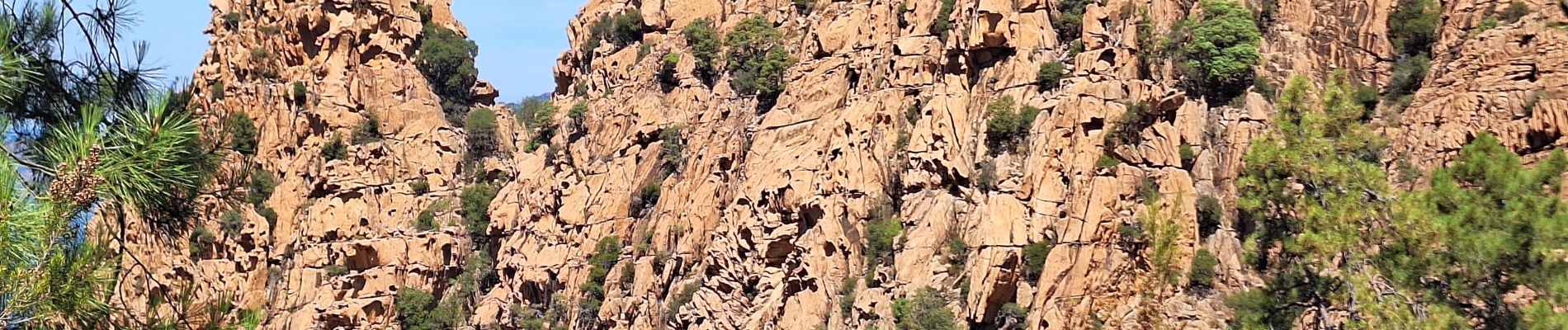 Randonnée Marche Piana - tour des châtaigniers de palani - Photo