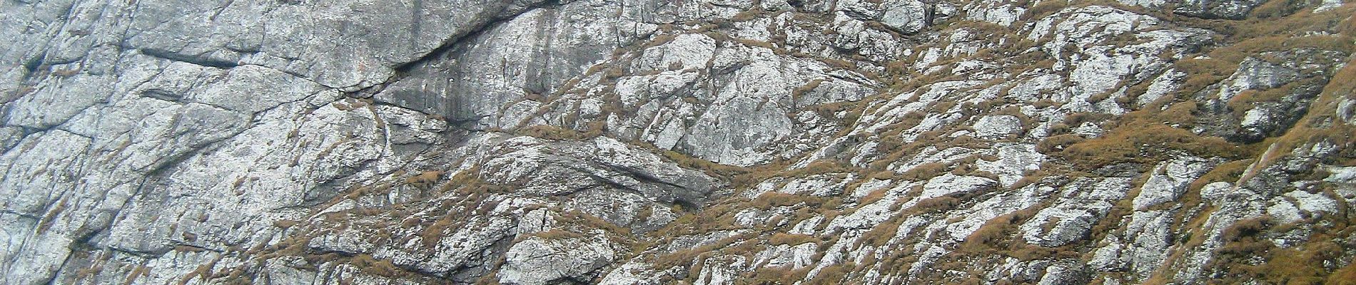 Trail On foot Rasnov - Bușteni - Poiana Pichetul Roșu - Cabana Mălăiești - Photo