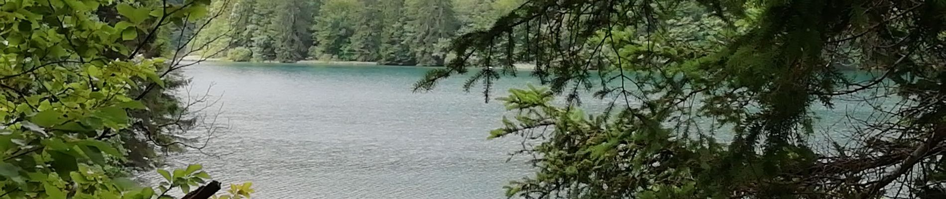 Tour Wandern Unknown - lac Plivice - Photo