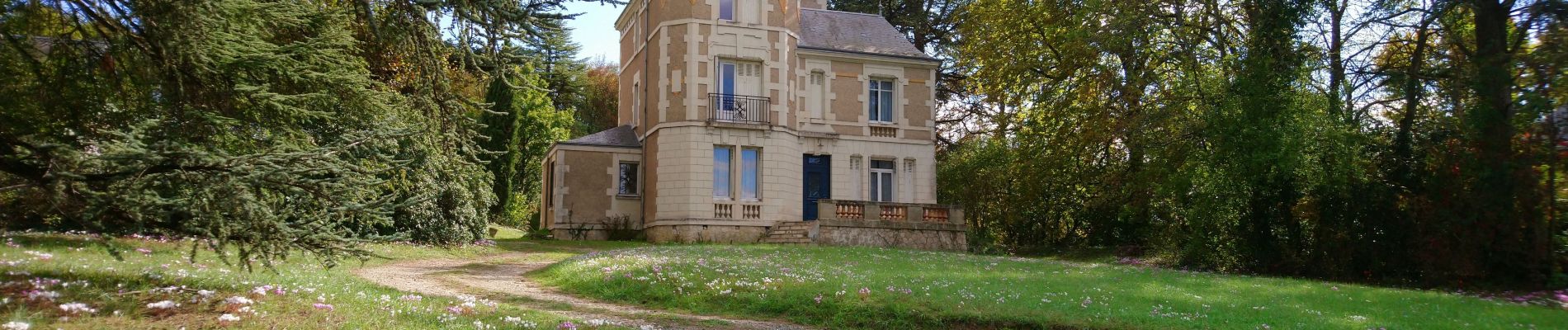 Tocht Stappen Saint-Georges-sur-Cher - Saint-Georges-sur-Cher - Faverolles-sur-Cher-13.8km 130m 2h55-2019 03 03 - Photo