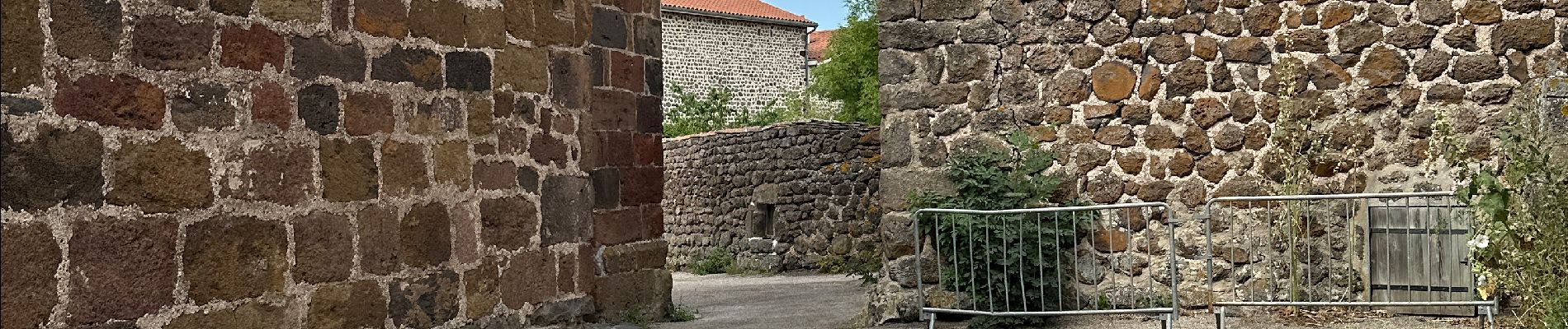 Trail  Le Puy-en-Velay - Saint-Jacques, Le Puits, première étape - Photo