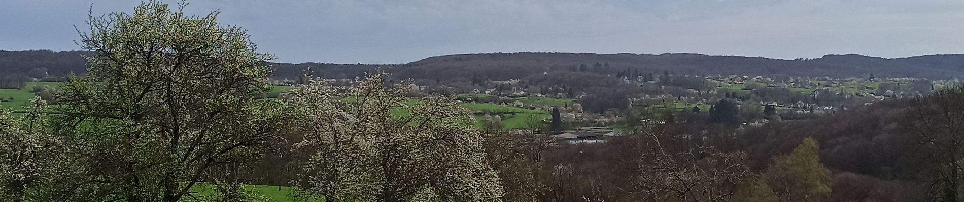 Tour Wandern Fougerolles-Saint-Valbert - 1-04-24 Ramouse - Pierres de rouges - le Bout - Photo