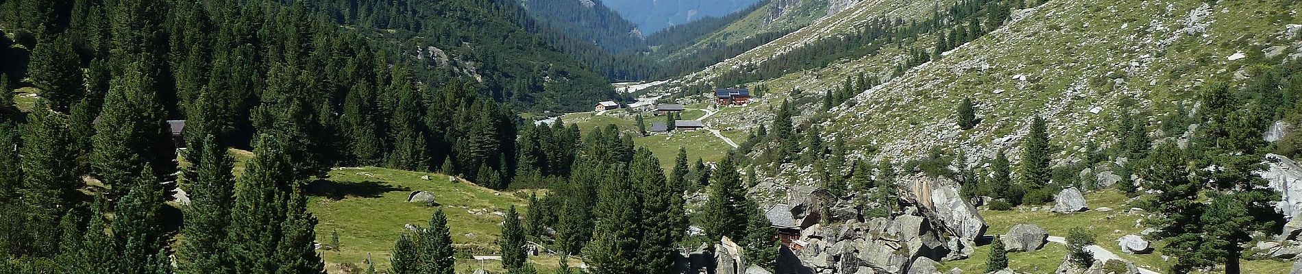 Tour Zu Fuß Marktgemeinde Neukirchen am Großvenediger - Gletscherlehrweg Obersulzbachtal - Photo