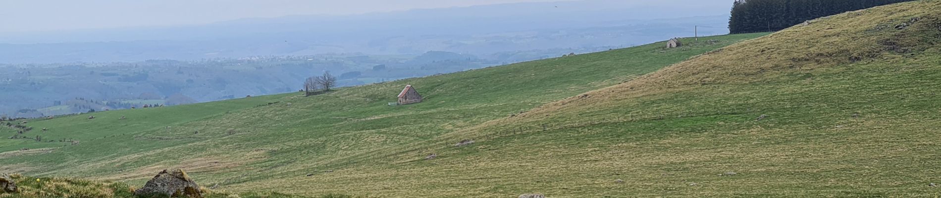 Randonnée Marche Saint-Sauves-d'Auvergne - Chalannes-stéle-charbonniere - Photo