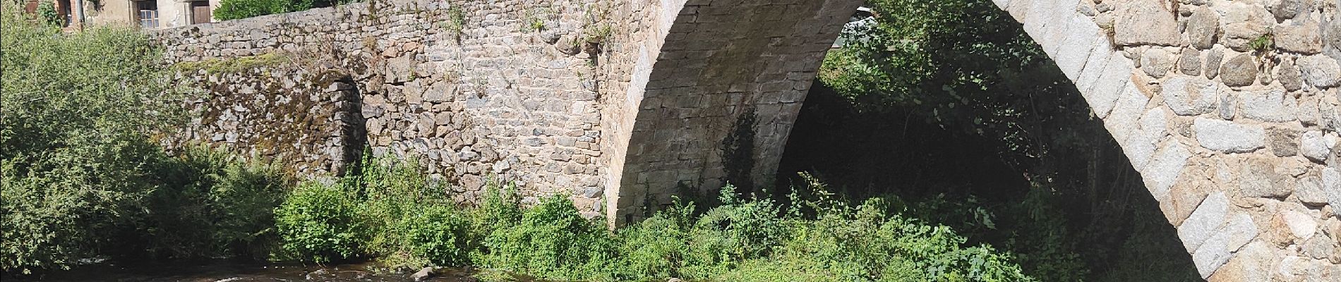 Tour Wandern Saint-Georges-en-Couzan - Randonnée au dessus de Vaux - Photo