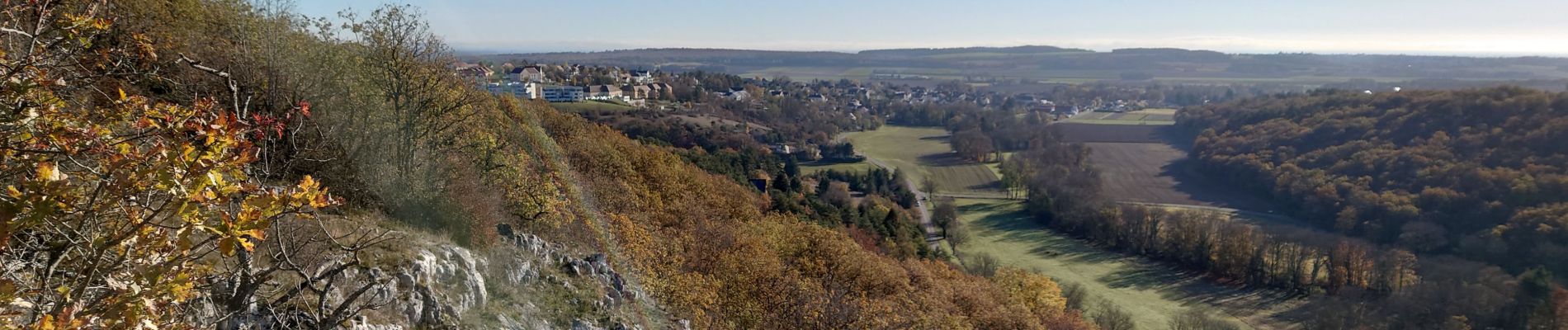 Trail Walking Messigny-et-Vantoux - MESSIGNY ; Roche-Château (09-11-2021) - Photo