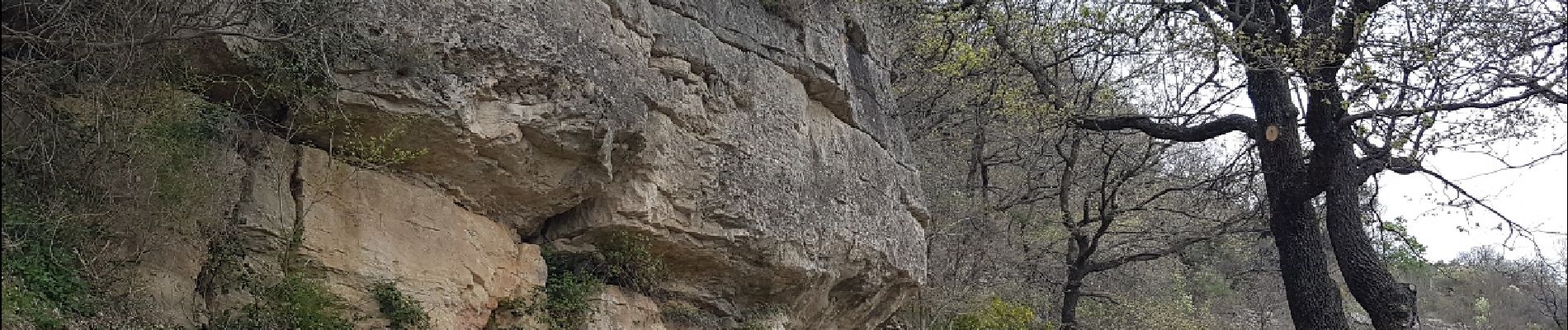 Tocht Stappen Les Plans - Les Plans - Plateau du Grézac - Photo