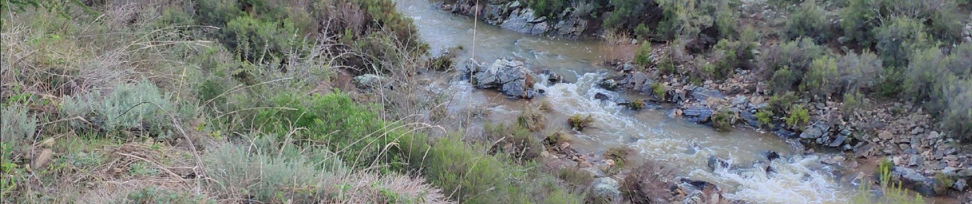 Tour Wandern Tanneron - z chemin charretier 30-10-18 - Photo