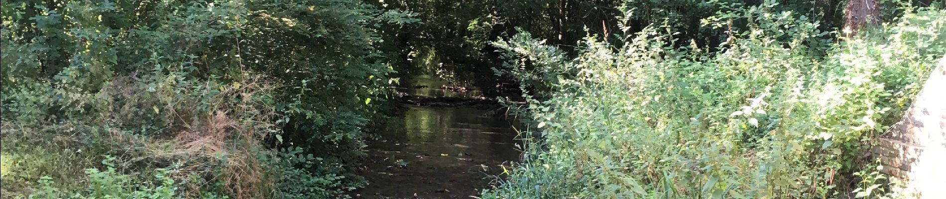 Tour Wandern Mazères - Le Raunier 16719 - Photo