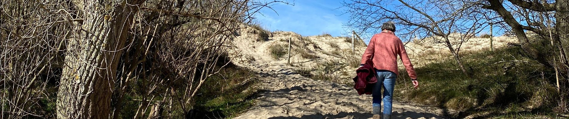 Tocht Stappen De Haan - De Haan 3 - Photo