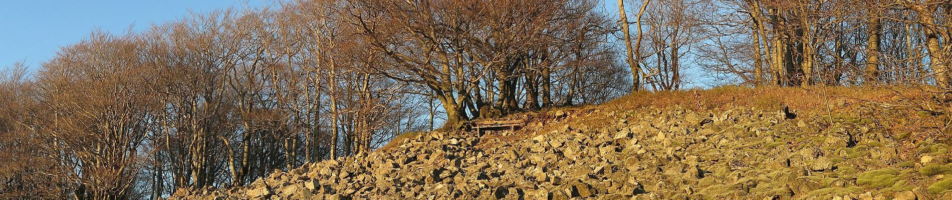 Randonnée A pied Hofbieber - Milseburg-Malerrundweg - Photo