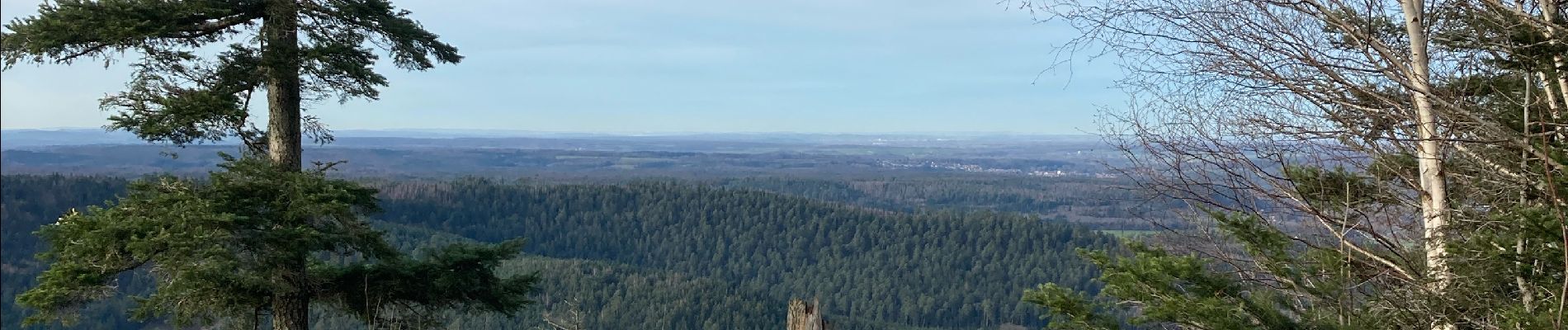 Randonnée Randonnée équestre Raon-l'Étape - Chapelle des pestiférés yoigo Tivio  - Photo