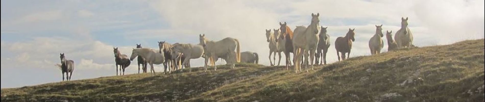 Tocht Paardrijden Bouvante - Boucle Ferme de Lente vers Fond d'Urle - Photo